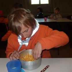 Koala 124 - Scouts en Gidsen Zaventem 